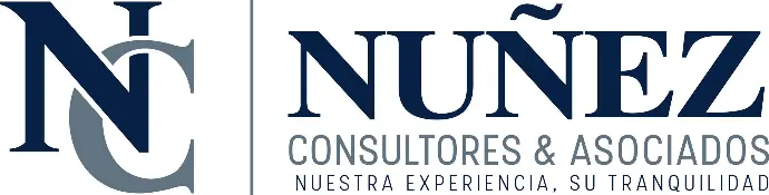 NUNEZ CONSULTORES